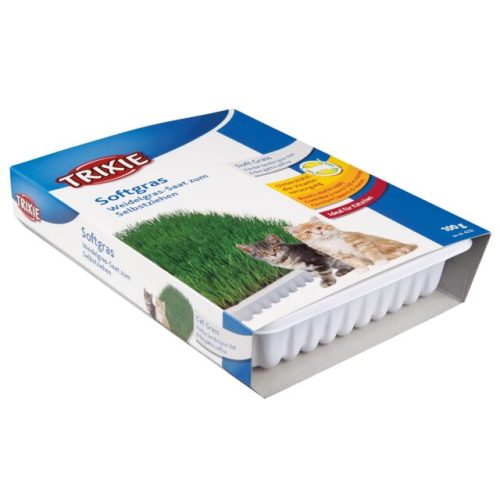 (تریکسی) علف گربه 100 گرمی